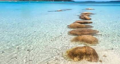 T2 Cosy avec piscine chauffée et proche plage Corse du Sud