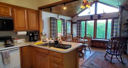 "Pleasant Brook Cottage" near Roxbury Village - Woods, Streams, Wi-fi, sleeps 6