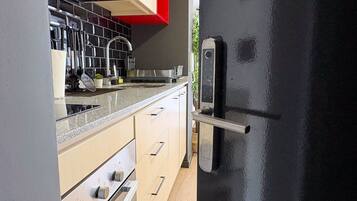 Basic Apartment | Private kitchen | Full-size fridge, microwave, oven, stovetop