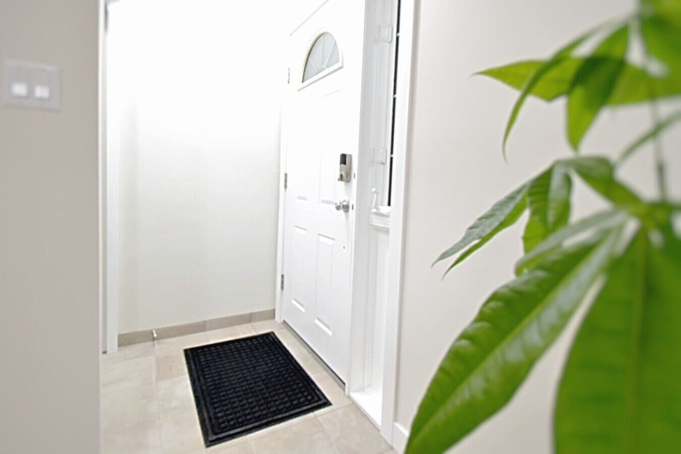 A hallway with a white door, a black mat at the entrance, and a potted plant on the right.