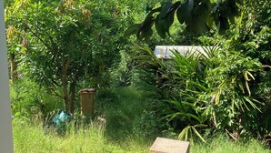 A lush garden with a variety of plants and trees, a small structure, and a clear view of a hill in the background. - Studio 5 minutes from Sainte Anne beaches and hiking trails (Sainte-Anne)