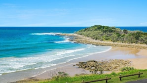 A coastal landscape with a sandy beach, rocky shoreline, and a grassy hill with dense vegetation.