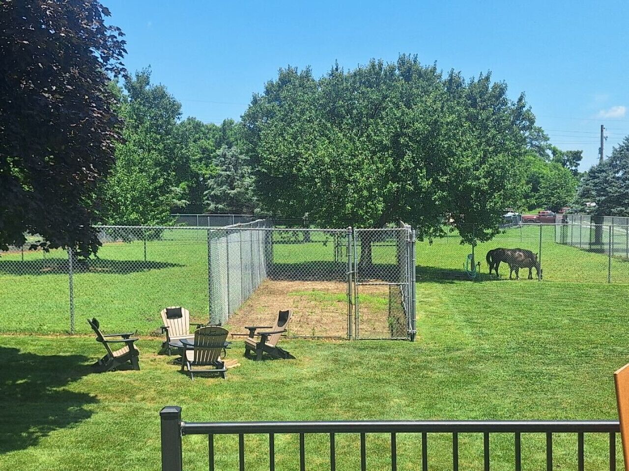 Un espacio al aire libre cercado con sillas y una mesa, un árbol y un cerdo al fondo.