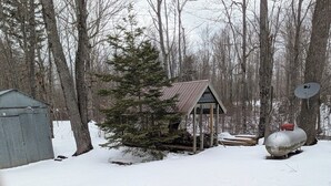 Una cabaña en un bosque nevado, con techo de metal, rodeada de árboles y un cobertizo pequeño.