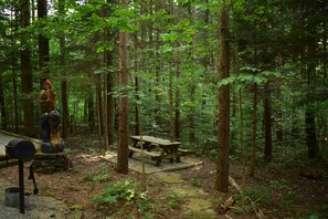 A forested area with a wooden picnic table and a mailbox.
