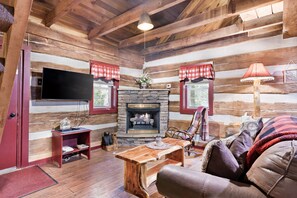 Fireplace, DVD player, books, video library