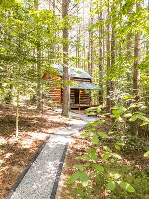 Exterior - Woodland view-Green Log Cabin (Laurelville)