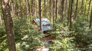 Une cabane entourée d’une forêt dense.