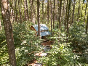 Una cabaña rodeada de un bosque frondoso.
