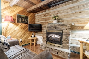 Televisión, chimenea, reproductor de DVD y libros