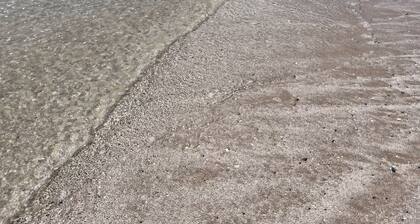 Oceanfront Serene Coastal Escape in Crystal Beach, TX: Yellow Daisy by the Sea