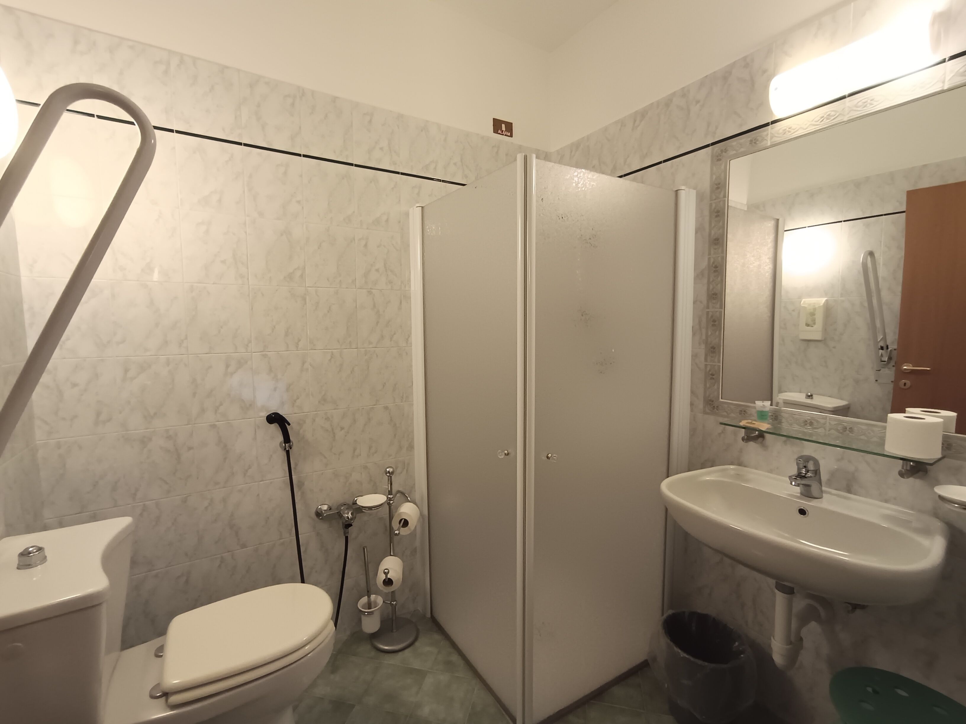 A bathroom with a toilet, a glass shower enclosure, a sink, and a mirror.
