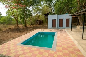 Une piscine rectangulaire dont le fond est décoré d’un motif à carreaux, entourée d’arbres et bordée d’un bâtiment doté de deux fenêtres visibles.