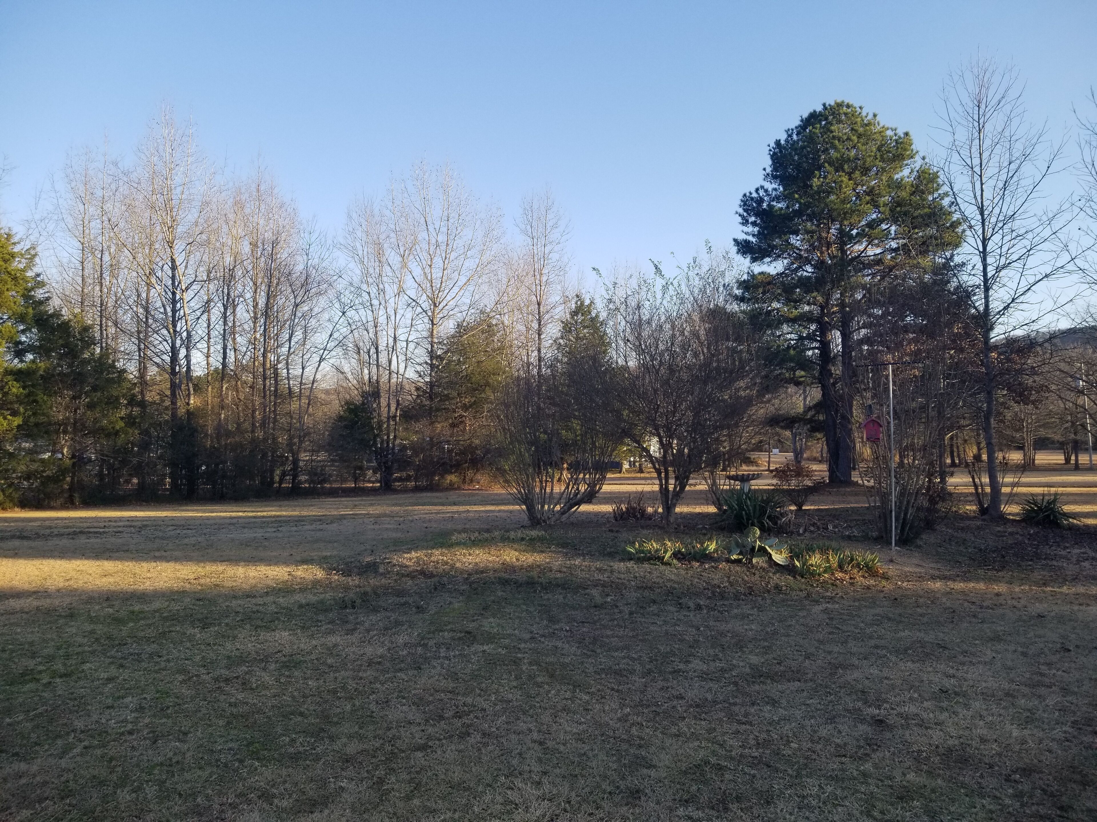 Ein Park mit weitläufigen Rasenflächen, vereinzelten Bäumen und blauem Himmel.