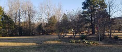 Ein Park mit weitläufigen Rasenflächen, vereinzelten Bäumen und blauem Himmel.