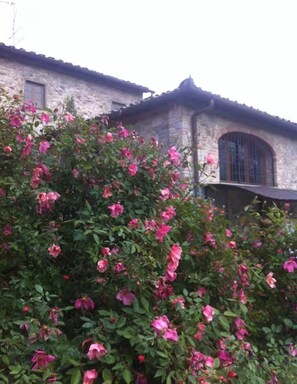 Exterior detail - Your Room in Chianti (Barberino Val D'elsa)
