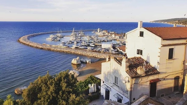 A coastal marina with boats docked, a white building with a red roof, and a clear blue sky.