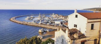 Joivy Dimore Rodiane - U Vucc'l