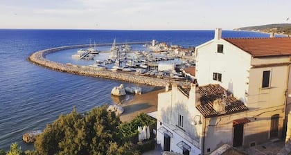 Joivy Dimore Rodiane - U Vucc'l