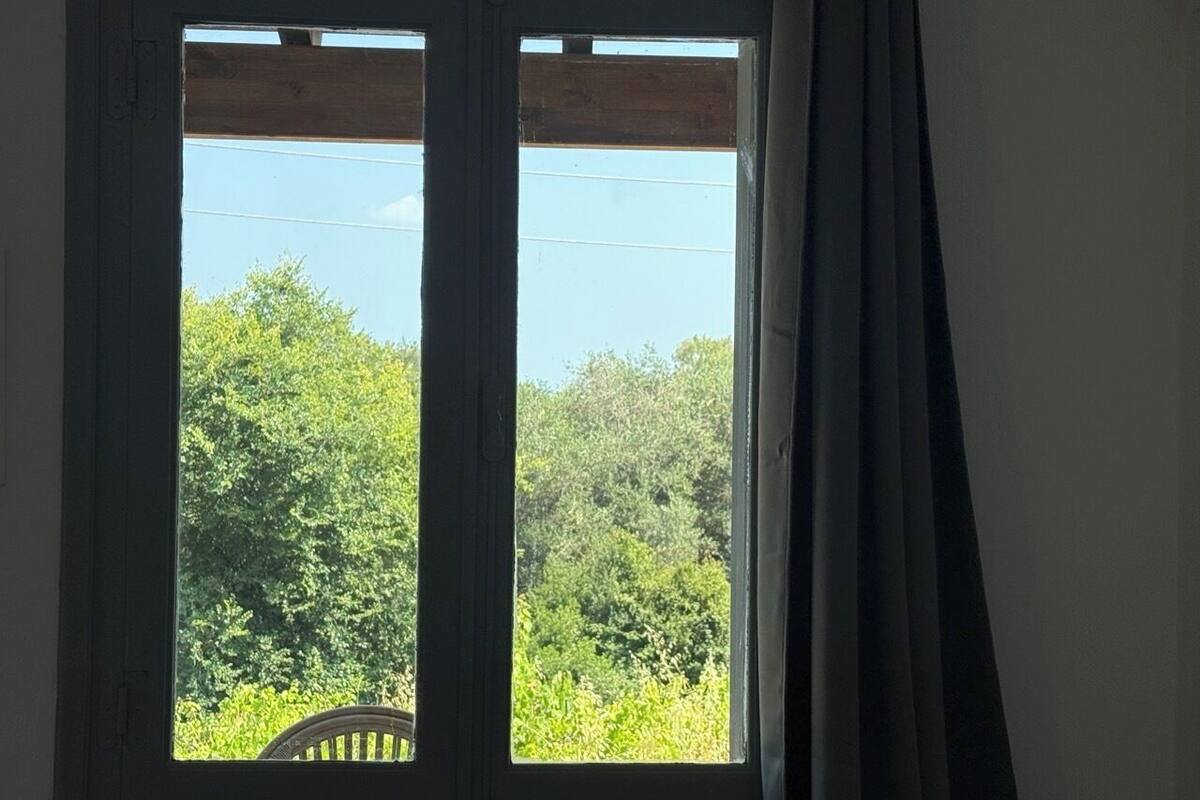 A window with a view of a green landscape and a wooden chair in the foreground.