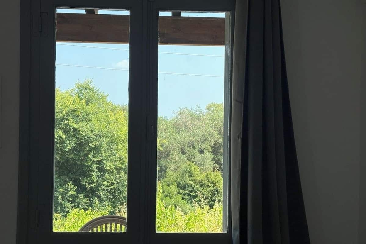Standard Studio, Multiple Beds, Balcony, Vineyard View | View from room