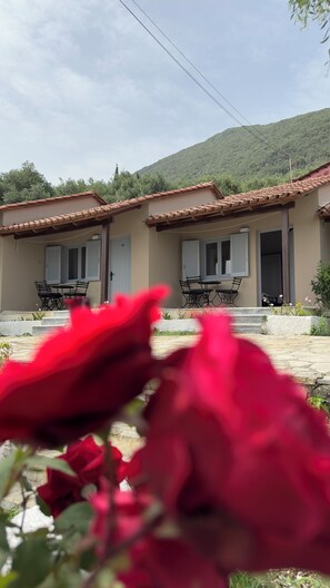 Standard Studio, 3 Twin Beds, Balcony, Sea View | Terrace/patio - Olga's Sea View Studios -500m from Ipsos (Corfu)