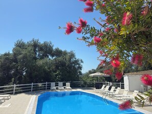 Piscine extérieure (ouverte en saison), chaises longues