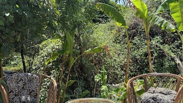 Standard Studio, 2 Twin Beds, Terrace, Garden View | Terrace/patio