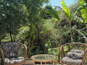 Standard Studio, 2 Twin Beds, Terrace, Garden View | Terrace/patio - Olga's Sea View Studios -500m from Ipsos (Corfu)