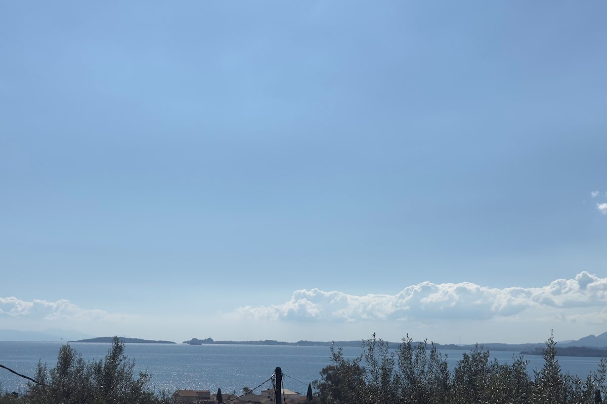 A coastal view with a clear sky, distant land, and trees in the foreground.