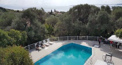 Olga's Sea View Studios -500m from Ipsos