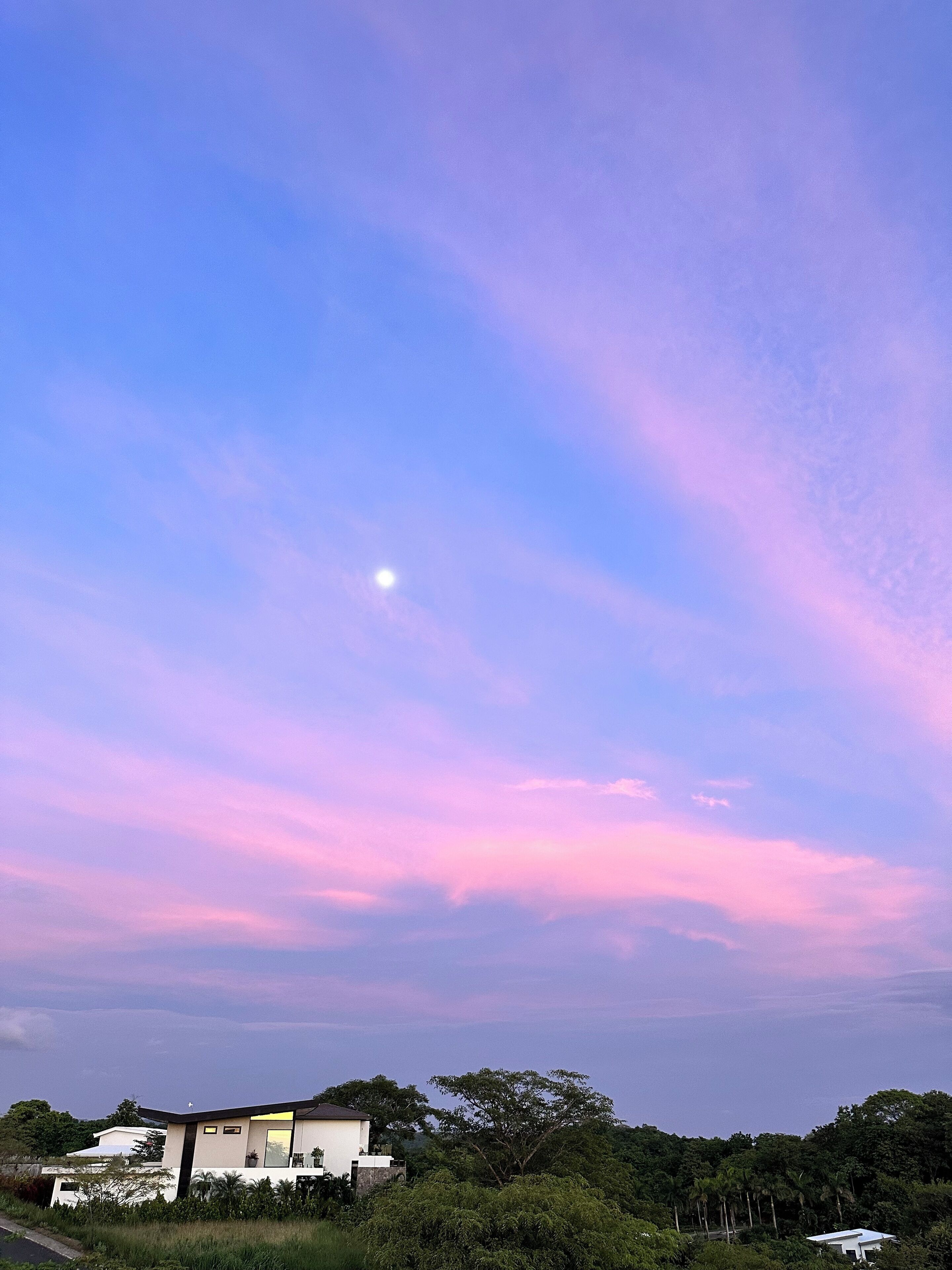A modern house with a flat roof, surrounded by lush greenery and a clear sky with a visible moon.