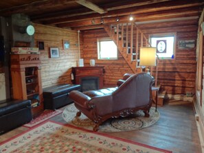 TV connectée, cheminée, lecteur de DVD, livres