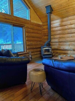 Smart-TV, Kamin