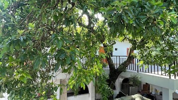 住宿正面