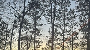 A lakeside view with tall trees and a sunset. There are Adirondack chairs and a fire pit.