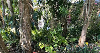 Spa private rock garden yoga