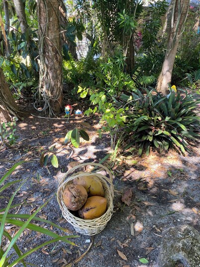 Spa private rock garden yoga