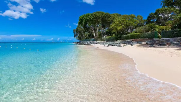 Una playa con agua turquesa cristalina, una orilla arenosa y densos árboles verdes al fondo.