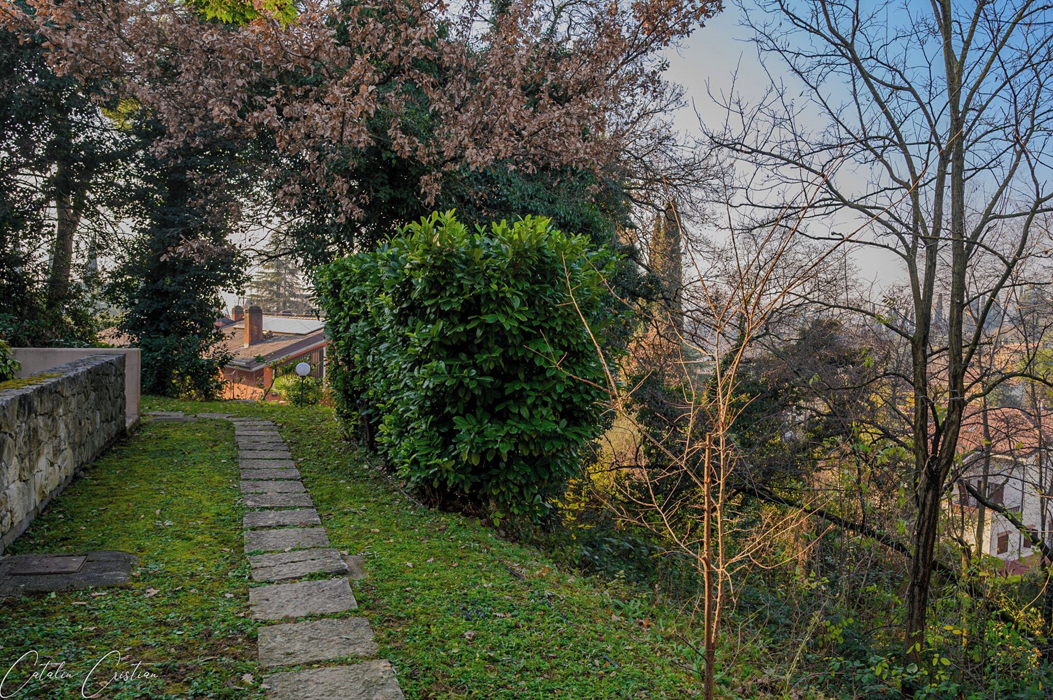 A stone pathway leading through a garden with dense foliage and trees.