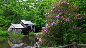 A rustic watermill with a wooden structure and a large wheel, surrounded by lush greenery and a wooden fence. - "18 Seasons" Seconds to Blue Ridge Parkway, & Mabry Mill. Game room w/Bar (Hillsville)