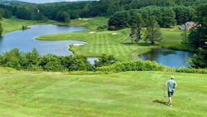 A golf course with a pond, trees, and a house in the background. - "18 Seasons" Seconds to Blue Ridge Parkway, & Mabry Mill. Game room w/Bar (Hillsville)