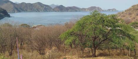 Chambre Quadruple Classique, vue baie | Terrasse/Patio