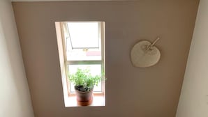 Una habitación con ventana, planta en maceta y ventilador de pared.