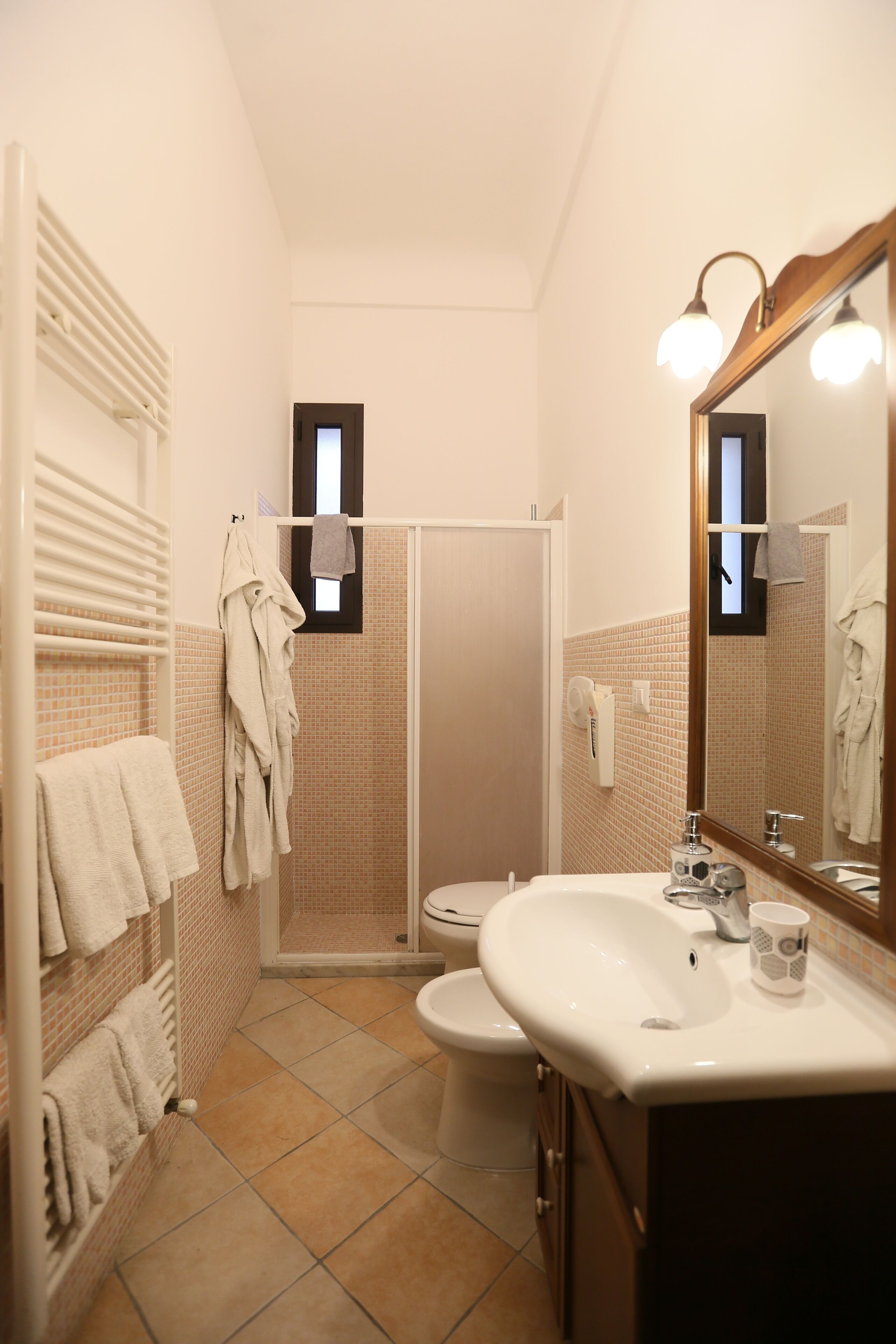 Shower, hair dryer, bidet, towels