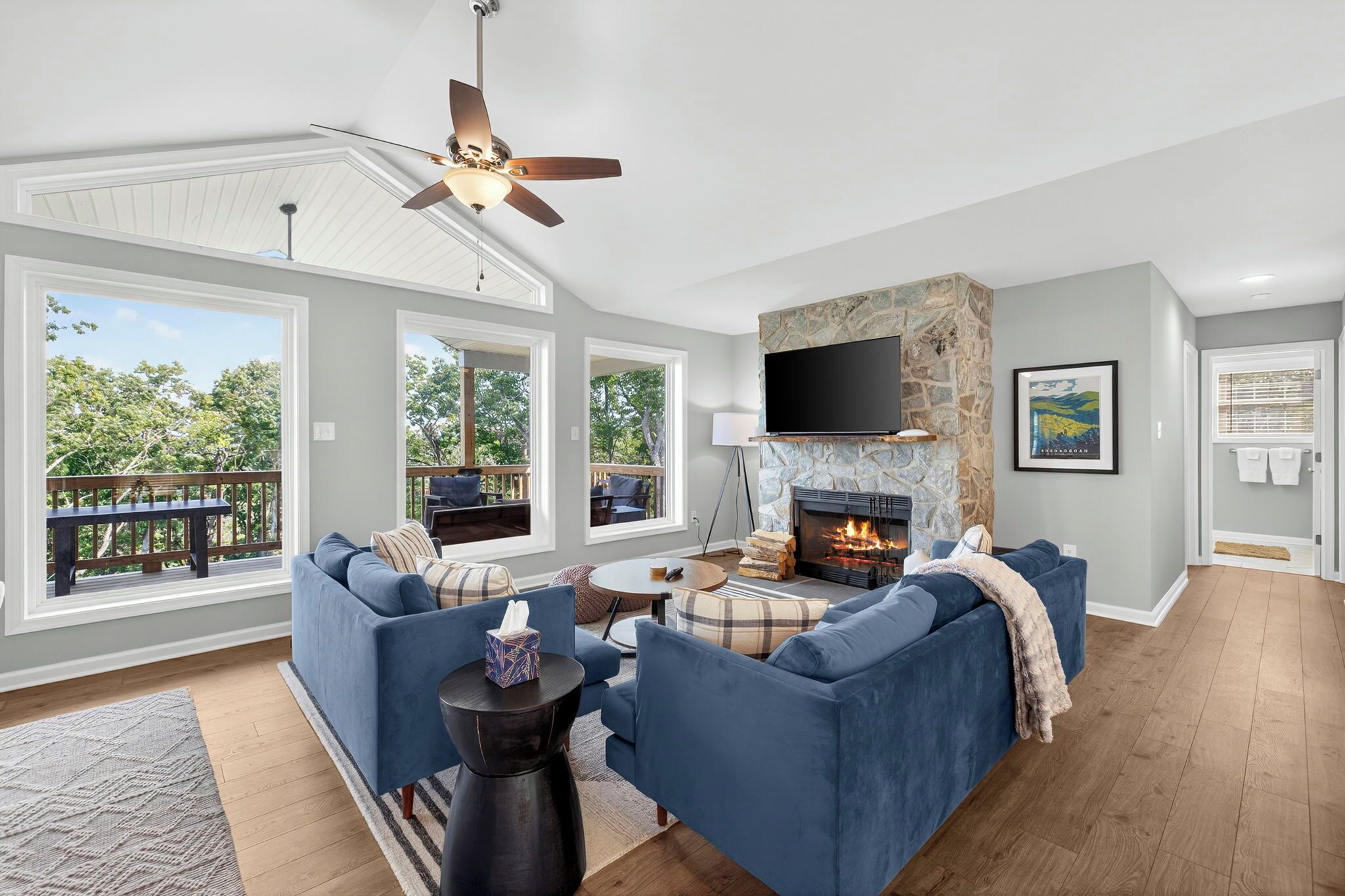 TV connectée, cheminée, espaces bureaux, écrans d'ordinateur