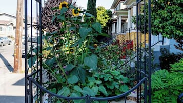 Detalle del exterior