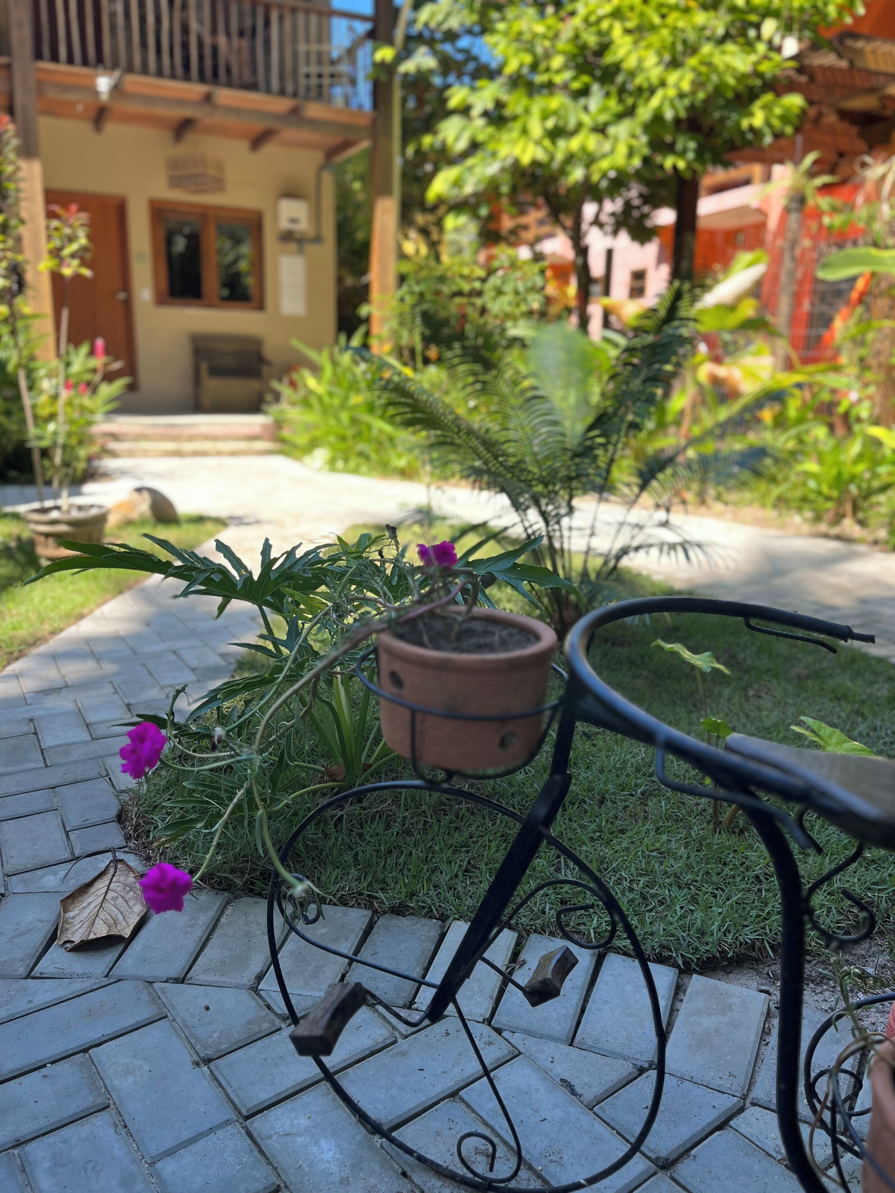 Un vialetto in giardino con piante in vaso e una sedia in metallo.
