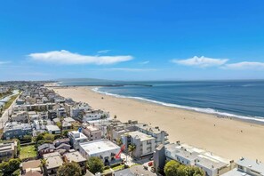 Beach - Oceanside Studio: Steps to Venice Pier & Nightlife (Marina del Rey)