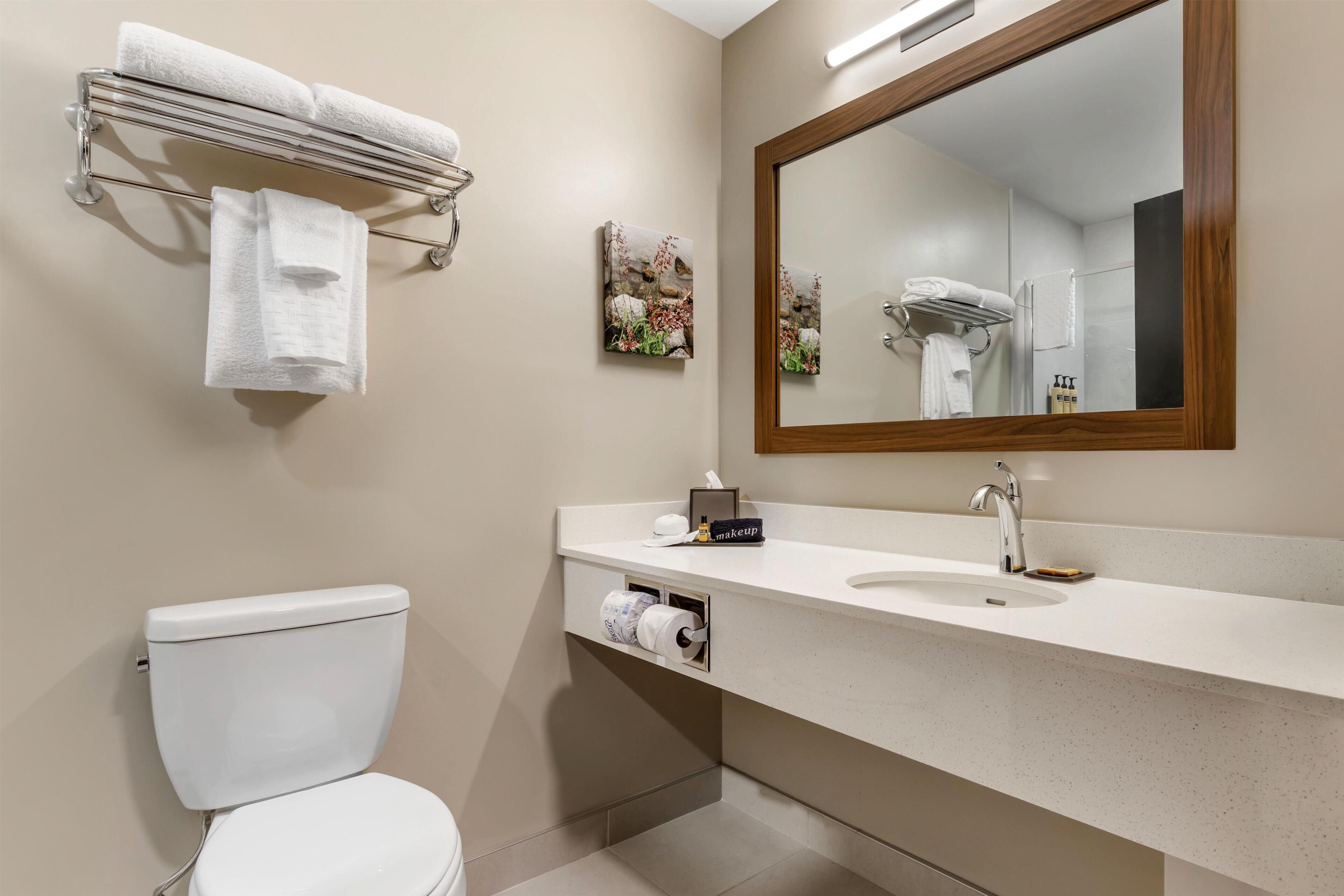 A bathroom with a toilet, a sink, a mirror, and a towel rack.